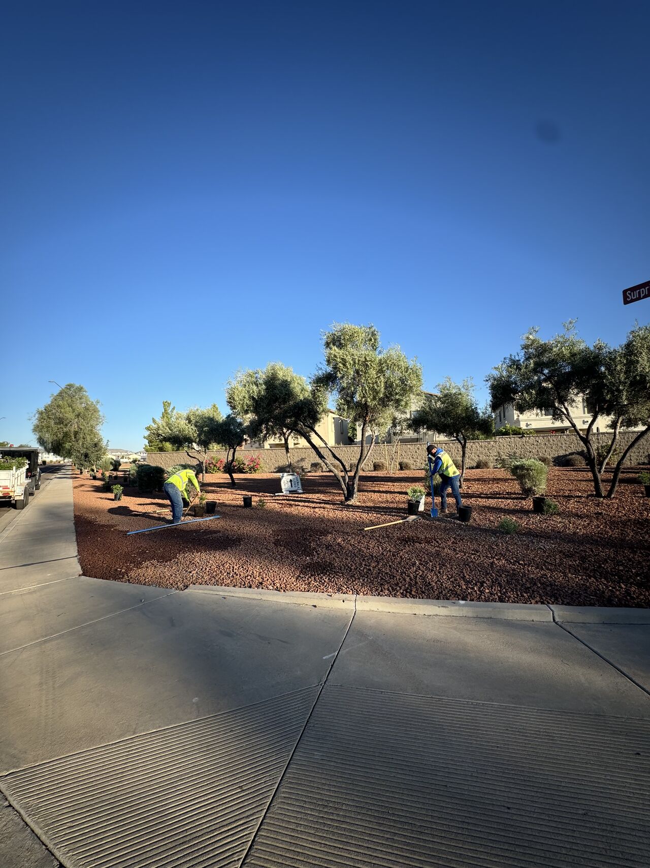 Happy Tree crew in safety vests planting shrubs and raking granite in an HOA common area